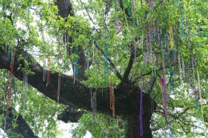 Beads
